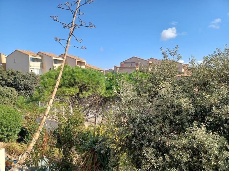 Plain-Pied, Terrasse, Piscine, Pleine Vue Mer, Plage A 6' A Pied, Parking, Wifi Fleury  Exteriör bild